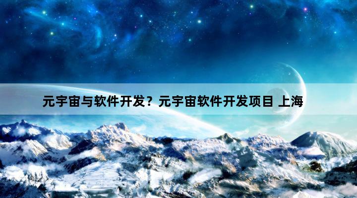 元宇宙与软件开发？元宇宙软件开发项目 上海